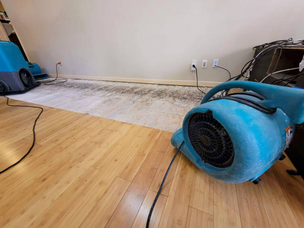 Professional Water Damage Repair technician working in Harveysburg, OH